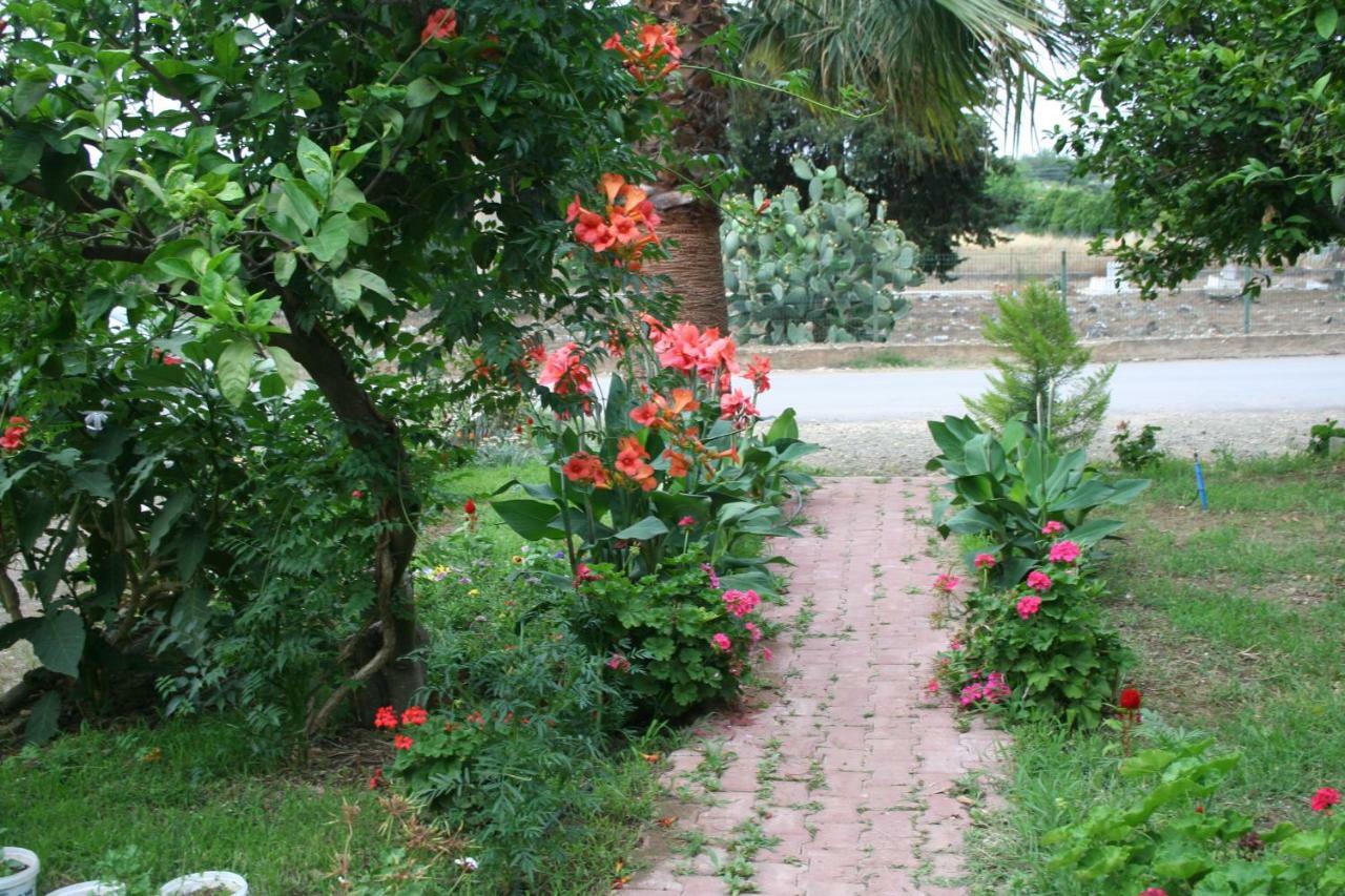 Daire Naz Apartlari